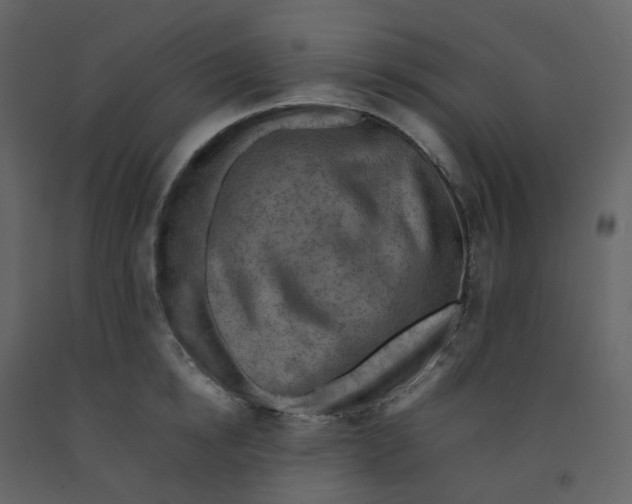 X0000092250854200710051257