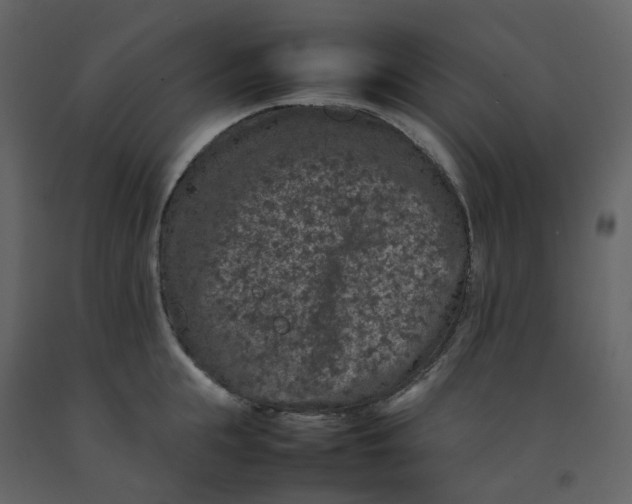 X0000092250855200710051257