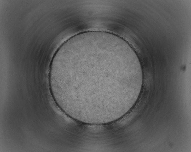 X0000092250856200710051257