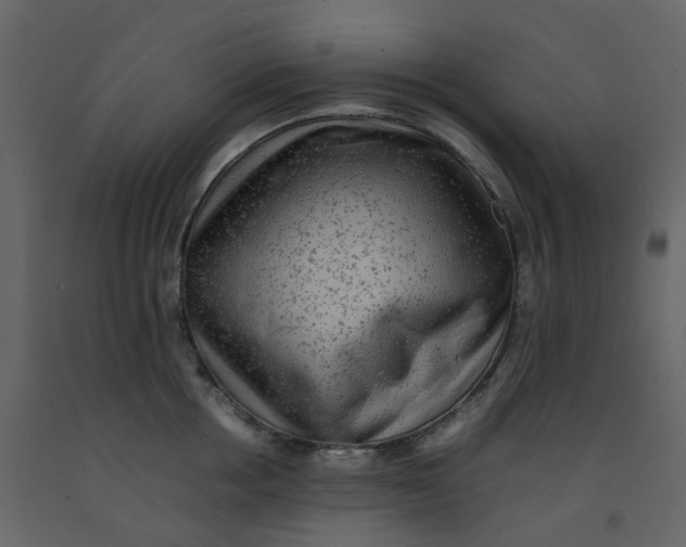 X0000092250858200710051257