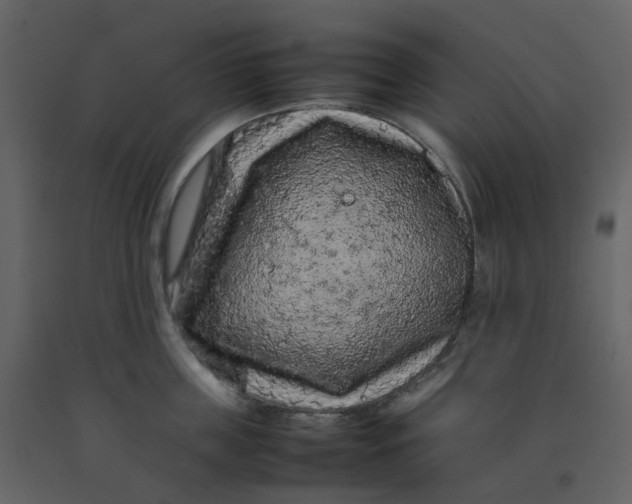 X0000092250859200710051257