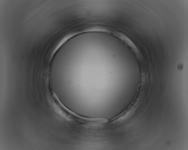 X0000092250860200710051257