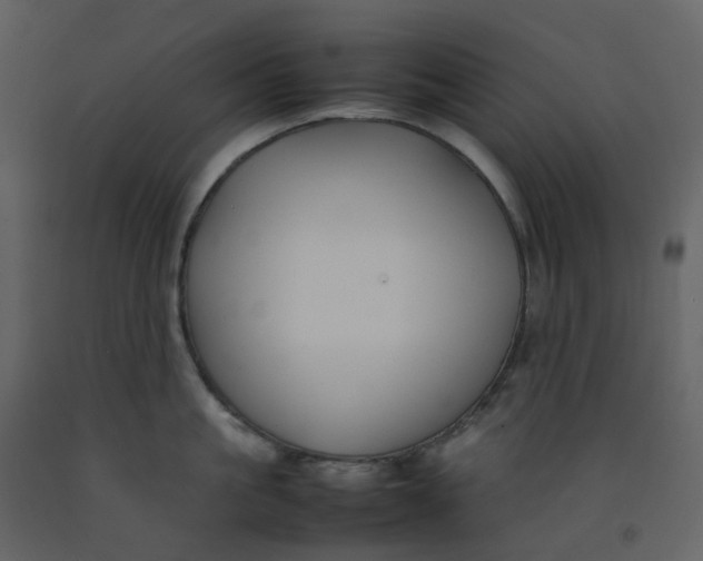 X0000092250861200710051257