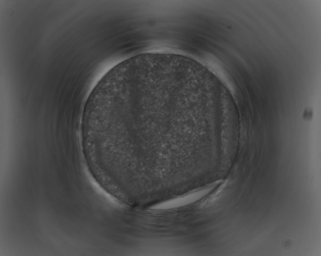 X0000092250863200710051257