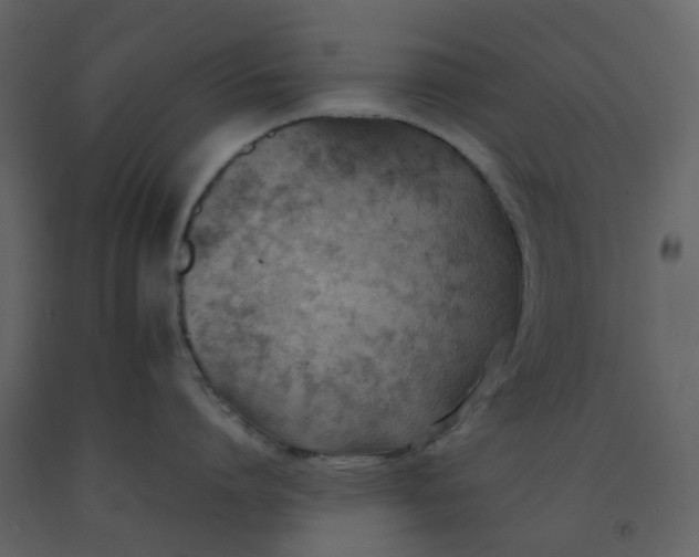 X0000092250864200710051257