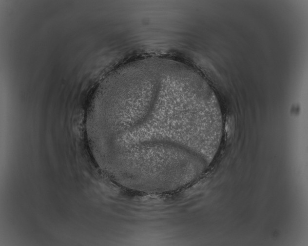 X0000092250867200710051256