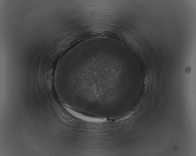 X0000092250868200710051256