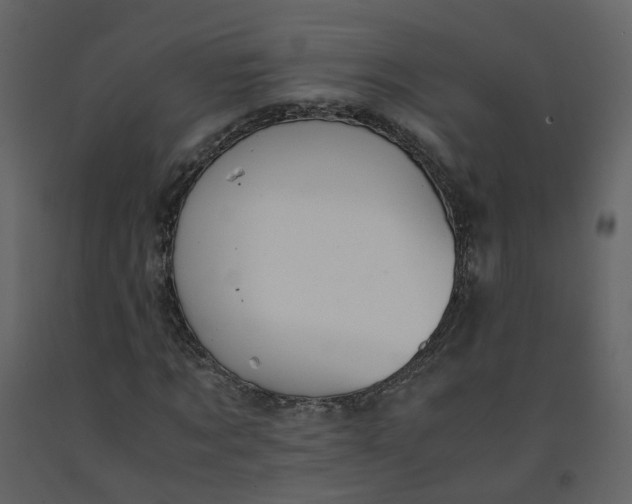 X0000092250869200710051256