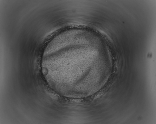 X0000092250870200710051256