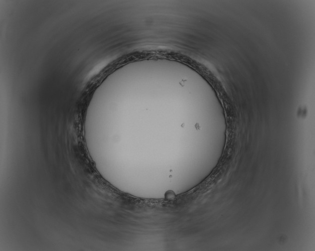 X0000092250871200710051256