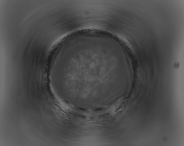 X0000092250872200710051256