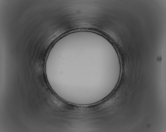 X0000092250873200710051256