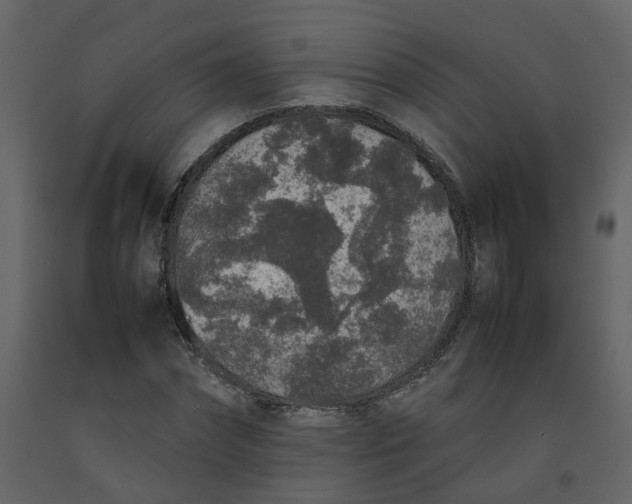 X0000092250874200710051256