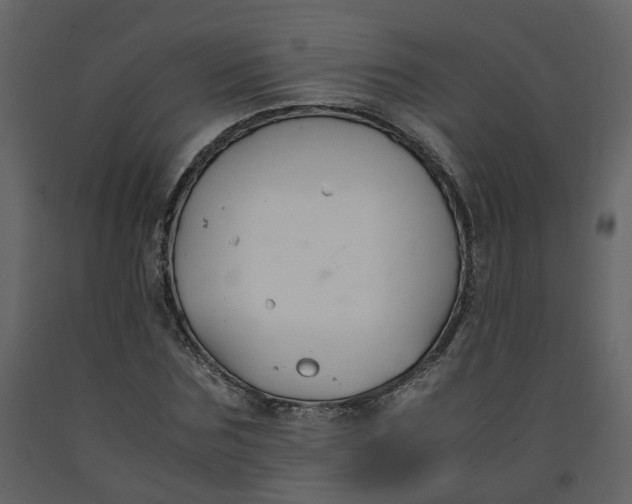 X0000092250875200710051256