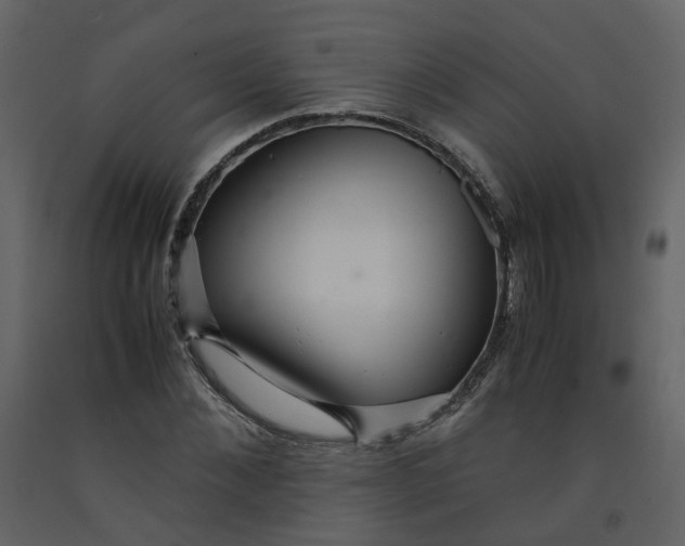 X0000092250876200710051256