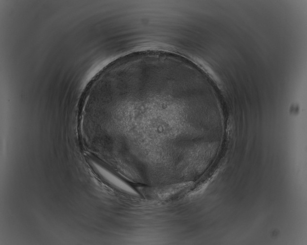 X0000092250877200710051256