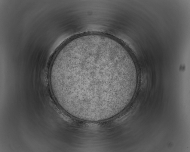 X0000092250878200710051256