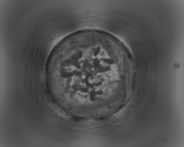 X0000092250879200710051256