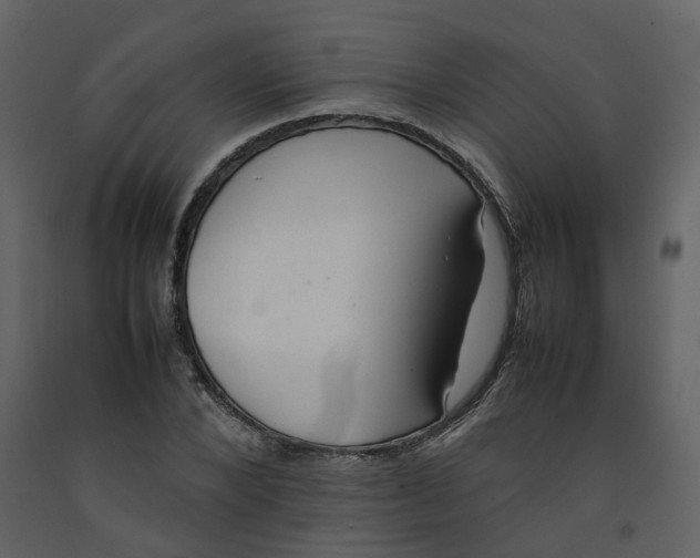 X0000092250880200710051256