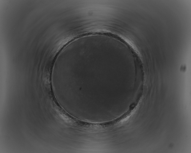 X0000092250881200710051256