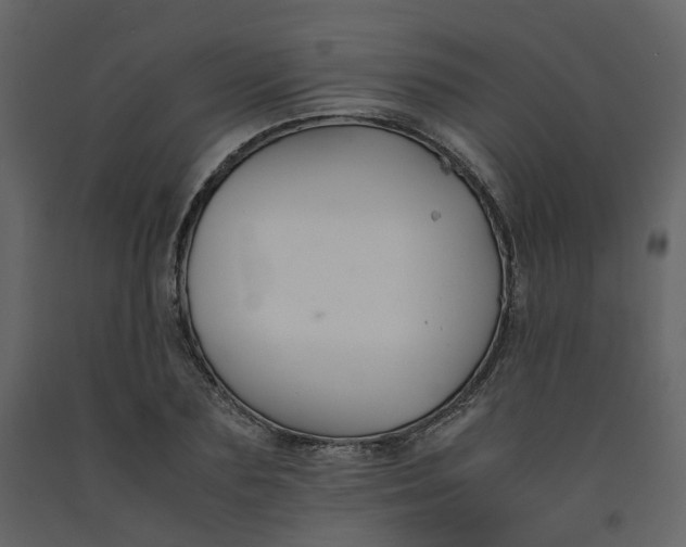 X0000092250883200710051256