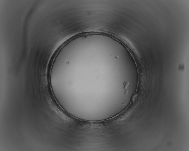 X0000092250884200710051256