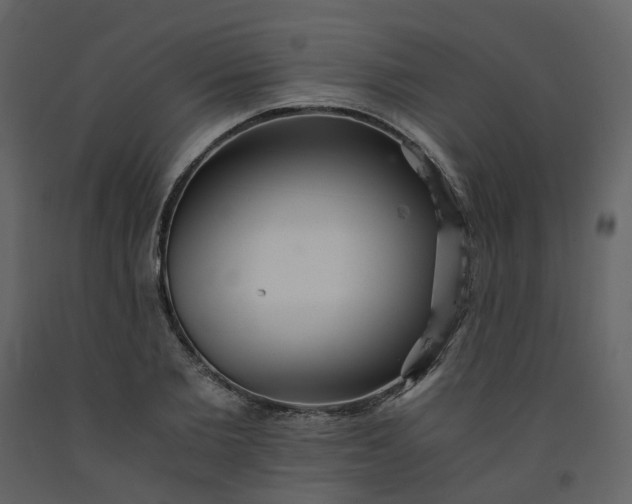 X0000092250885200710051256