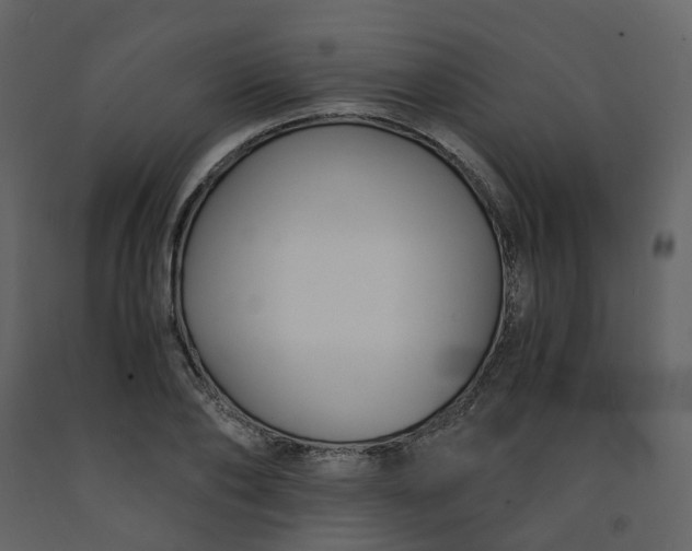 X0000092250886200710051256