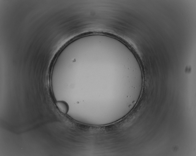 X0000092250887200710051256