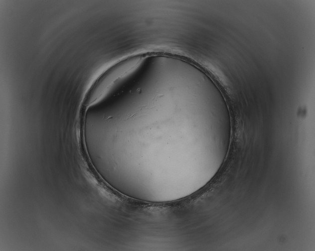 X0000092250888200710051256