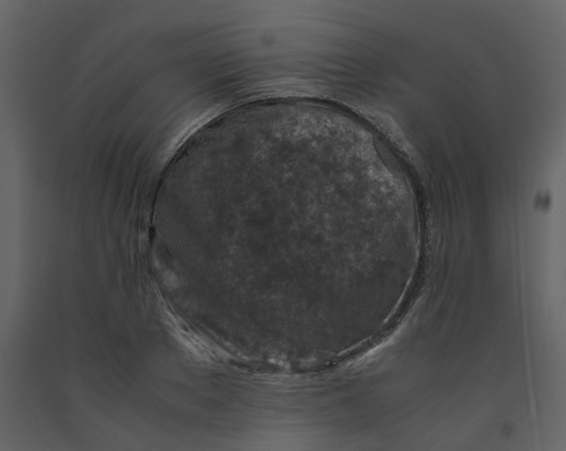 X0000092250889200710051256