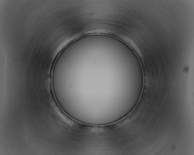 X0000092250890200710051256