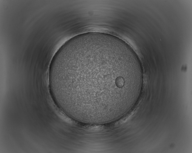 X0000092250891200710051256