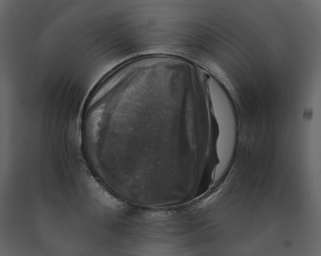 X0000092250892200710051256