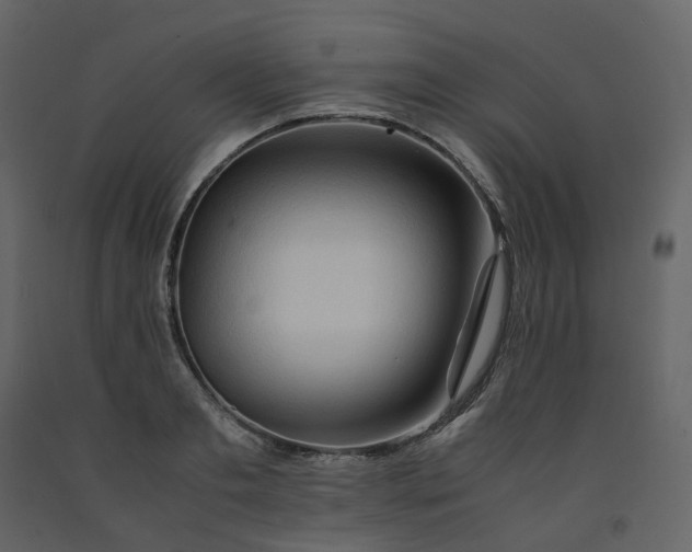 X0000092250893200710051256