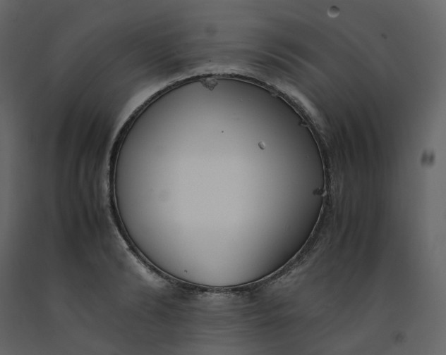 X0000092250894200710051256