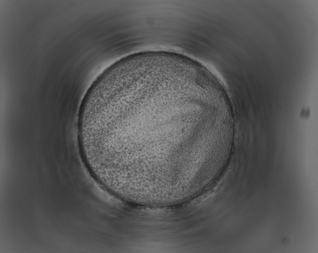 X0000092250895200710051256