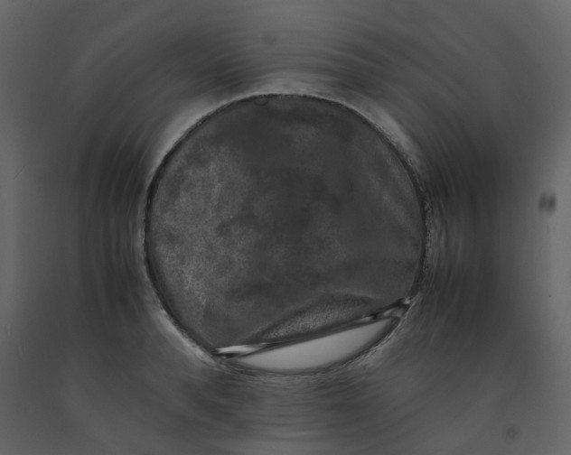 X0000092250896200710051256