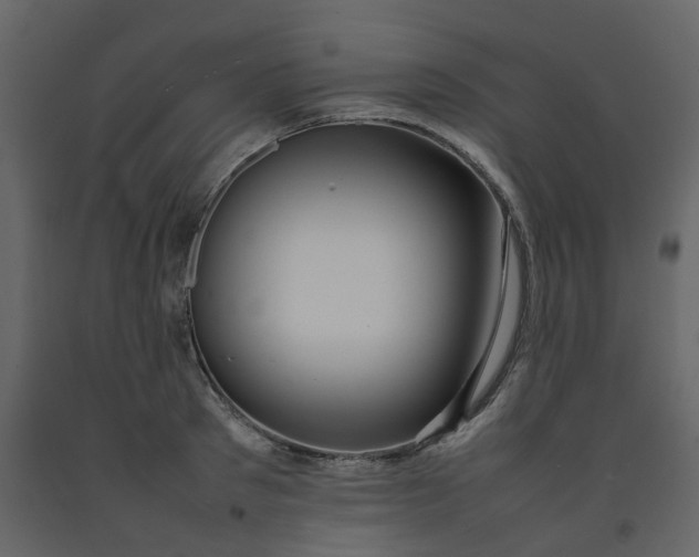 X0000092250897200710051256