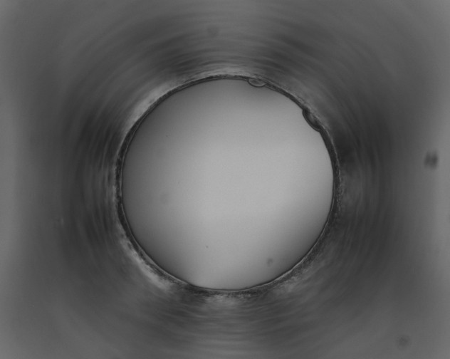 X0000092250898200710051256