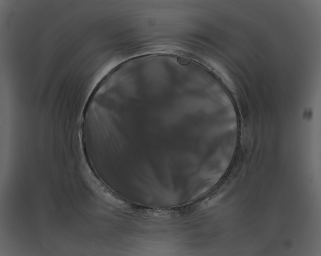 X0000092250899200710051256