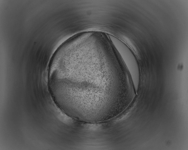 X0000092250900200710051256