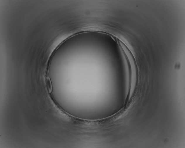 X0000092250901200710051256