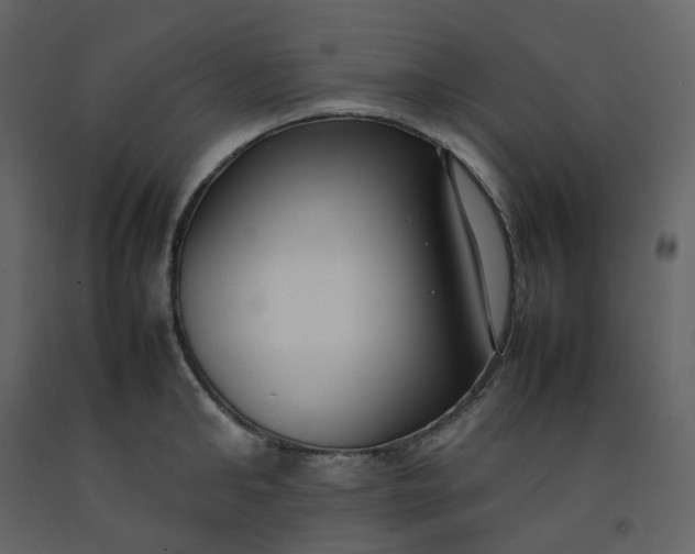 X0000092250902200710051256