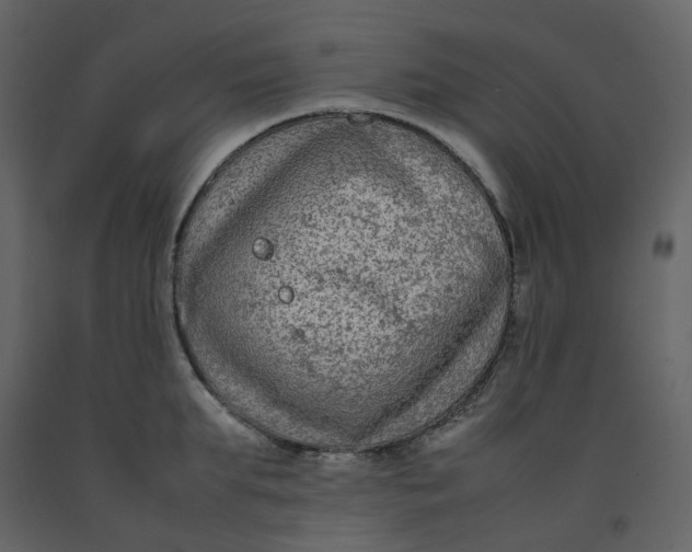 X0000092250903200710051256