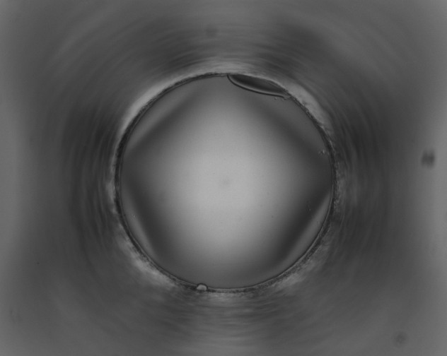 X0000092250904200710051256