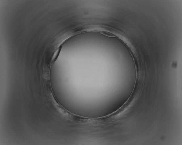 X0000092250905200710051256