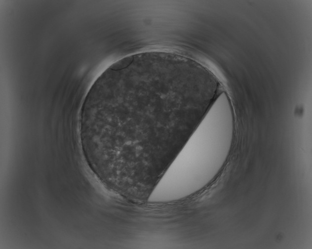 X0000092250907200710051256