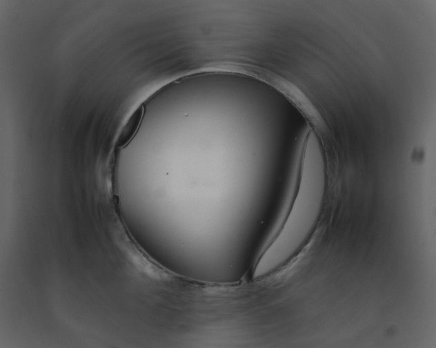 X0000092250908200710051256