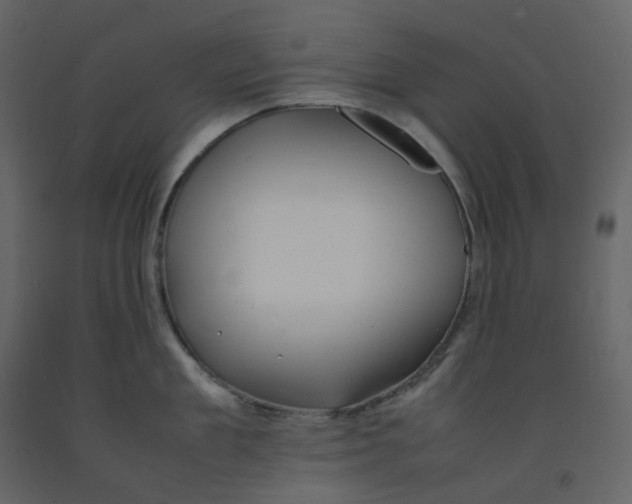 X0000092250909200710051256